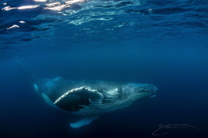 ~ Little One ~ by Geo Cloete 